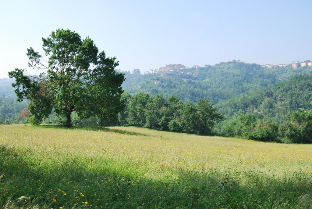 Agriturismo Cisogna Villa Анани Екстериор снимка