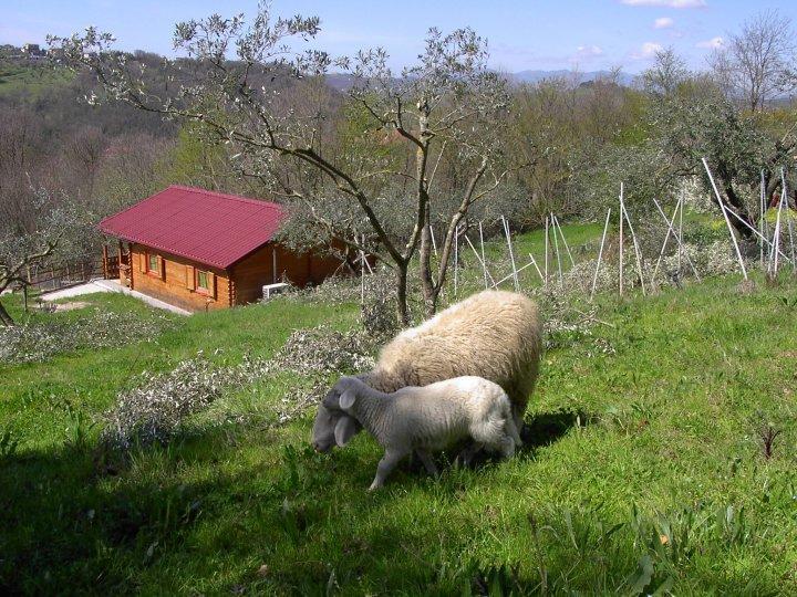 Agriturismo Cisogna Villa Анани Екстериор снимка