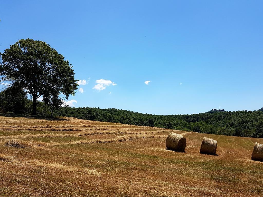 Agriturismo Cisogna Villa Анани Екстериор снимка