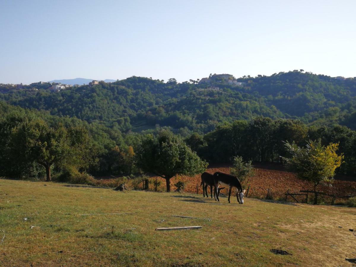 Agriturismo Cisogna Villa Анани Екстериор снимка